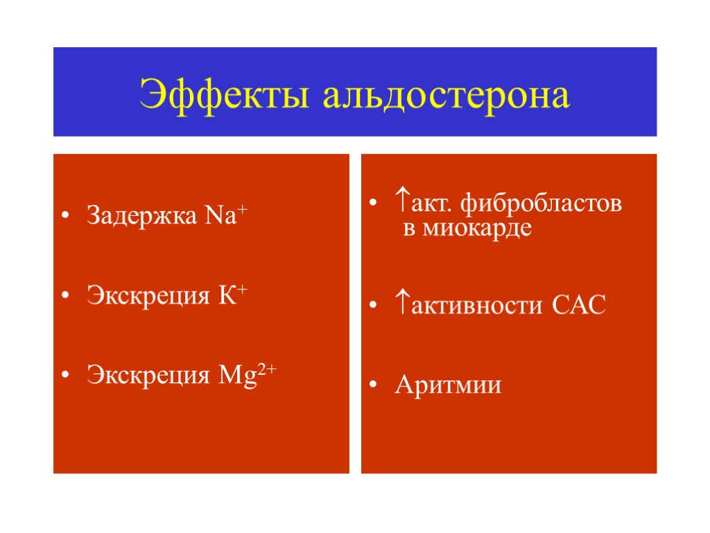 Эффекты альдостерона Задержка Na+ Экскреция К+ Экскреция Mg2+ акт. фибробластов в миокарде активности САС